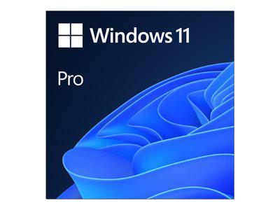Win 11 Pro For Wrkstns 64Bit English 1Pk Dsp Oei Dvd