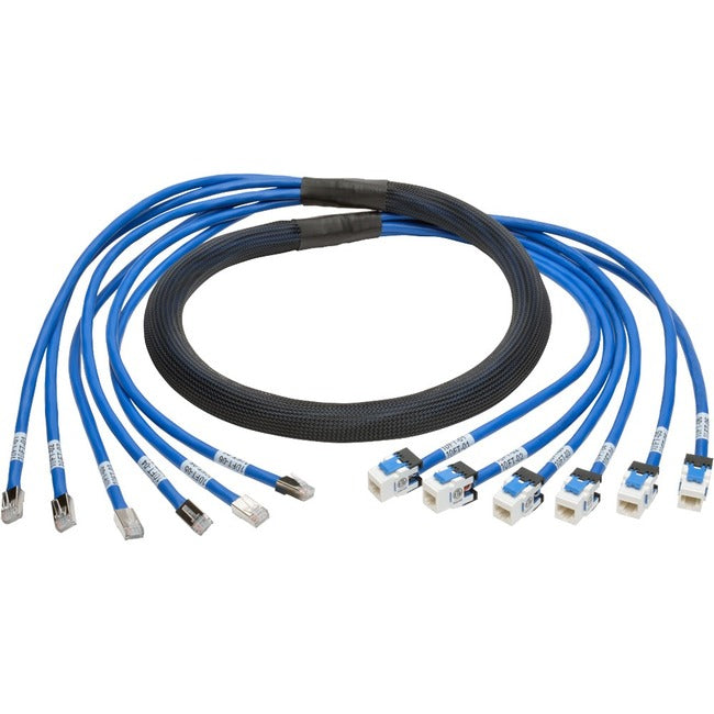 10Ft Cat6 Cat6A Trunk Bundle X6,Augmented Copper Rj45 M/F Pre-Term