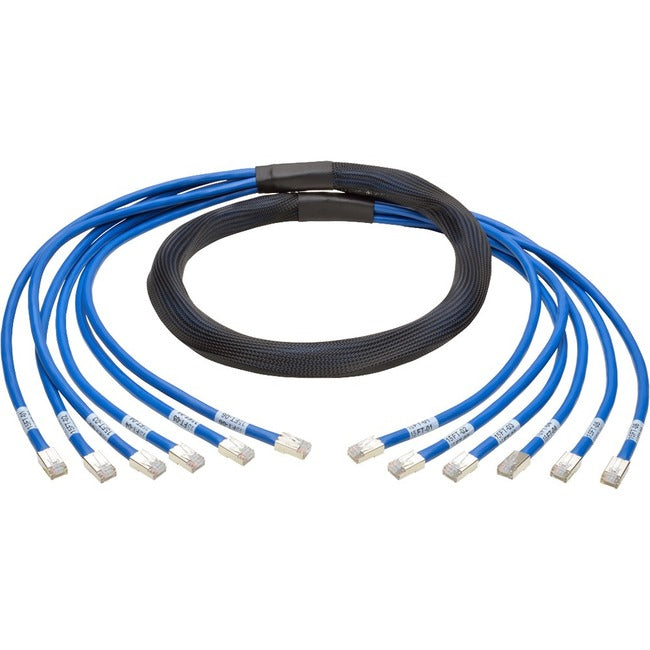 10Ft Cat6 Cat6A Trunk Bundle X6,Augmented Copper Rj45 M/M Pre-Term