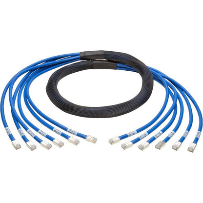 10Ft Cat6 Cat6A Trunk Bundle X6,Augmented Copper Rj45 M/M Pre-Term