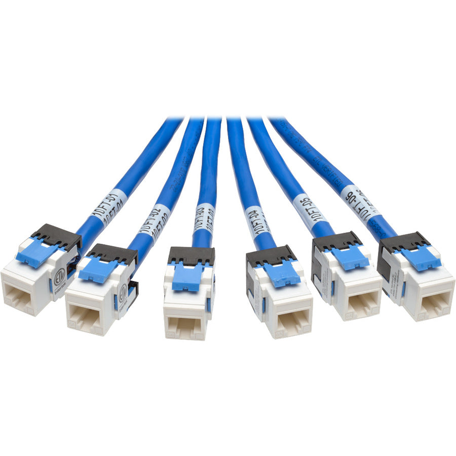 10Ft Cat6 Cat6A Trunk Bundle X6,Augmented Copper Rj45 M/F Pre-Term