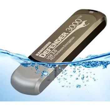 256Gb Defender 3000 Flash Drive,Fips 140-2 Encrypted Flash Drive