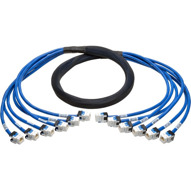 6Ft Cat6 Cat6A Trunk Bundle X6,Augmented Copper Rj45 F/F Blue