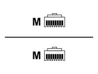 Addon Networks Add-1Fcat5E-Gn Networking Cable Green 3 M Cat5E U/Utp (Utp)