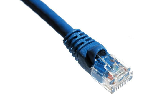 Axiom 14Ft Cat5E Utp Networking Cable Blue 4.3 M U/Utp (Utp)