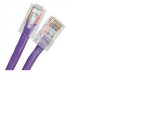 Axiom Cat5E, 2Ft Networking Cable Purple 0.6 M U/Utp (Utp)