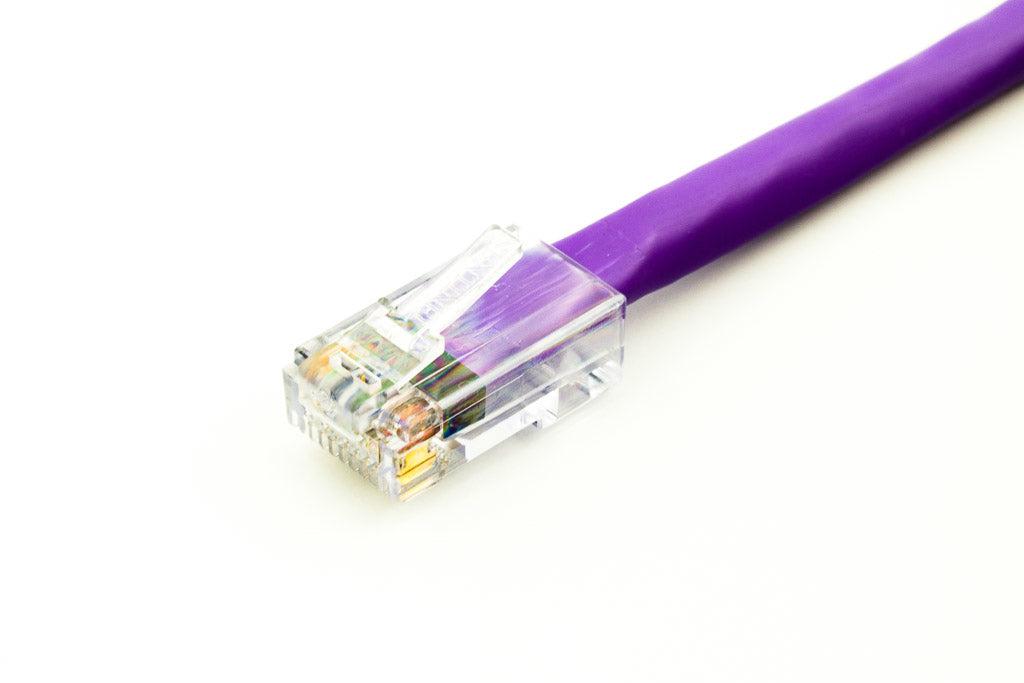 Axiom Cat6, 100Ft Networking Cable Purple 30.48 M U/Utp (Utp)