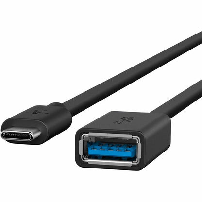 Belkin B2B150-Blk Usb Cable Usb 3.2 Gen 1 (3.1 Gen 1) Usb C Usb A Black