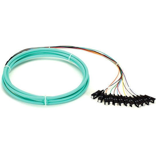 Black Box Om3 50-Micron Multimode Fiber Optic Pigtail - 12-Strand, Ofnr, Pvc