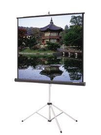 Da-Lite 93876 Projection Screen