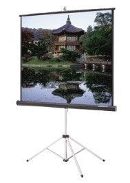 Da-Lite Carpeted Picture King® With Keystone Eliminator 70" X 70" Matte White Projection Screen