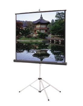 Da-Lite Picture King Projection Screen 1:1