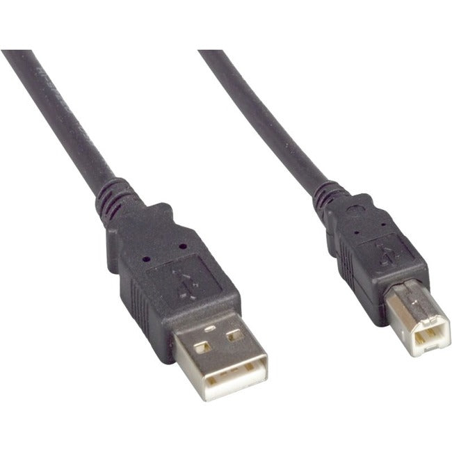 Enet Usb 2.0 A Male To B Male 10Ft Black Cable