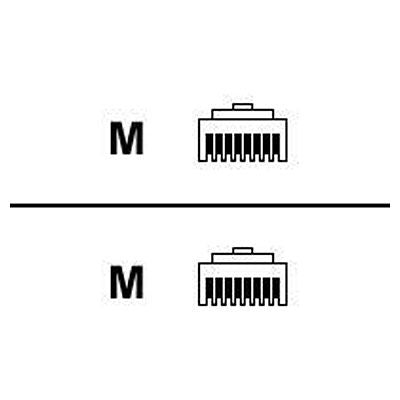 Hewlett Packard Enterprise 7.6M/25Ft Cat5 Rj45 M/M Ethernet C/O Cable Networking Cable