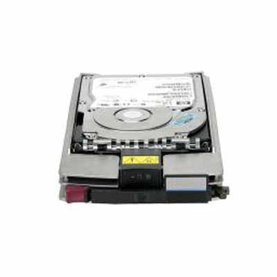 Hewlett Packard Enterprise Storageworks Eva 300Gb 15K Fc Add On Hdd Fibre Channel