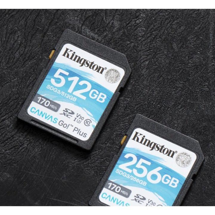 Kingston Technology Canvas Go! Plus 256 Gb Sd Uhs-I Class 10