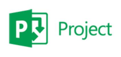 Microsoft Project Professional, 1Y, Level D, Government, Additional Product Government (Gov) 1 License(S) 1 Year(S)