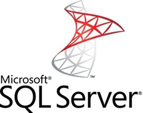 Microsoft Sql Server Enterprise, X32, Win, Gov, Olv-D, 1U, 1Y, Mlng, Int 1 License(S) 1 Year(S)