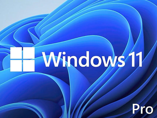 Microsoft Windows 11 Pro 64-Bit - Oem