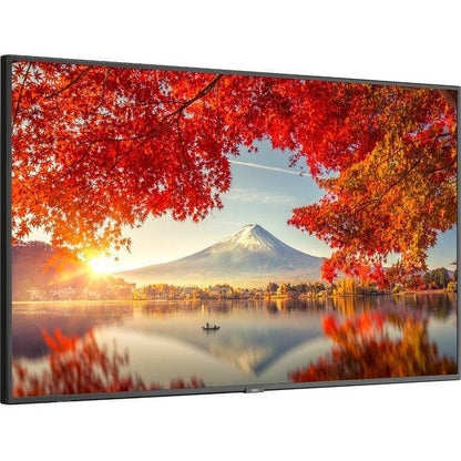 Nec Display 55" Wide Color Gamut Ultra High Definition Professional Display
