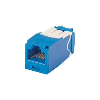 Panduit Cj6X88Tgbu-24 Wire Connector Rj-45 Blue, White