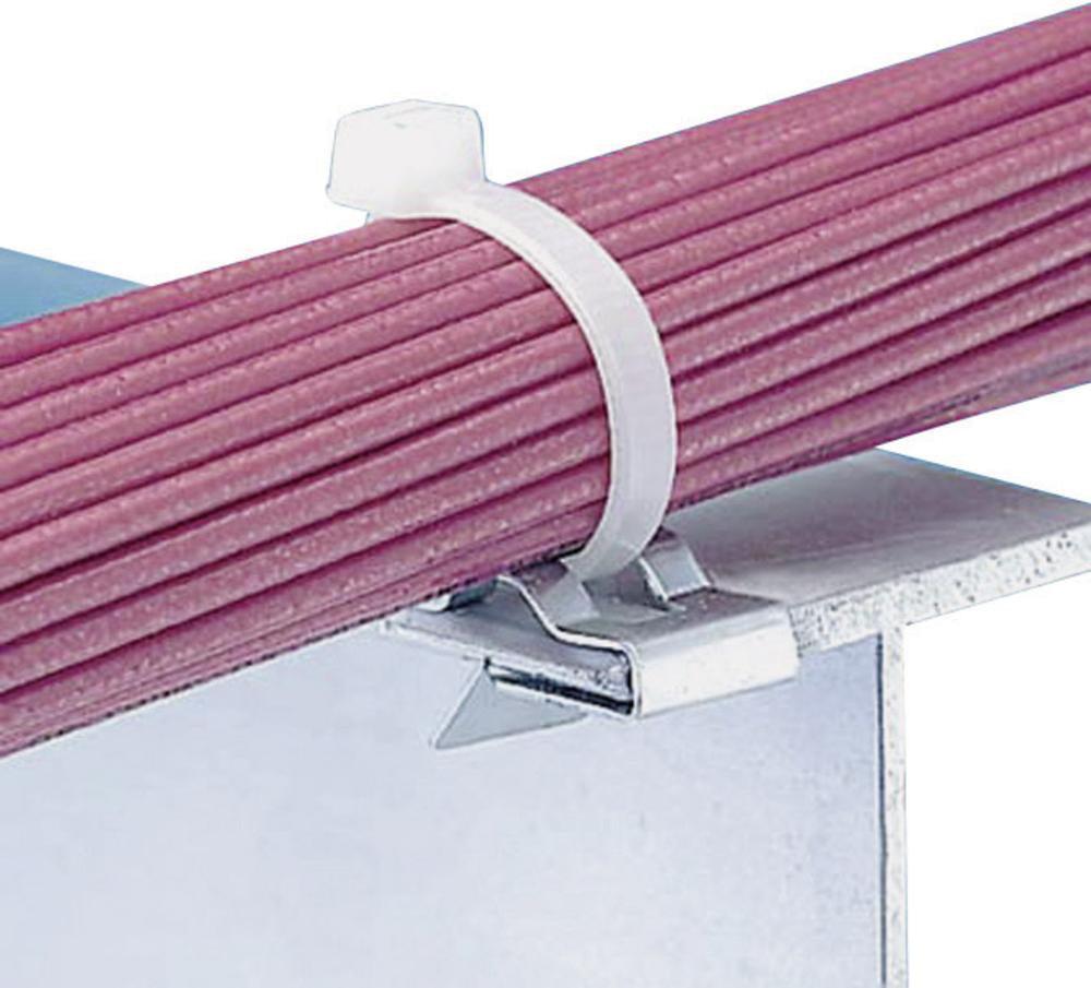 Panduit Mcms25-P-C Cable Tie Zinc Steel Stainless Steel 100 Pc(S)
