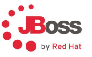 Red Hat Jboss Web Server Premium English 1 Year(S)