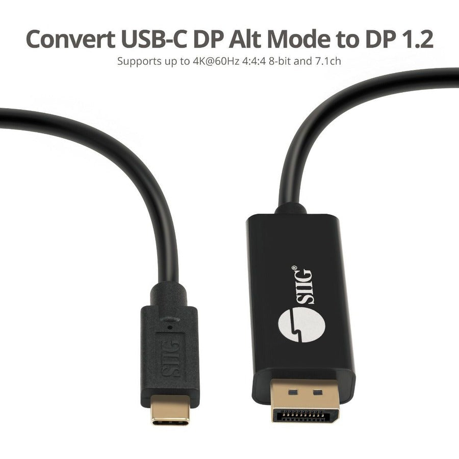 Siig Usb-C To Displayport Active Cable 4K 60Hz Hdr - 2M