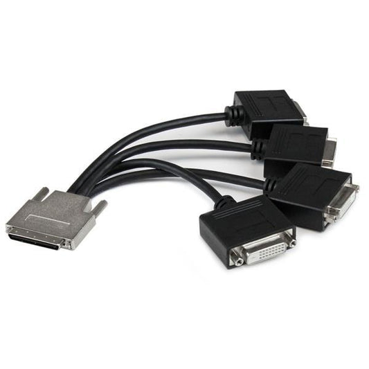 Startech.Com Vhdci To Quad Dvi Splitter Breakout Cable - Vhdci (M) To 4X Dvi-D (F)