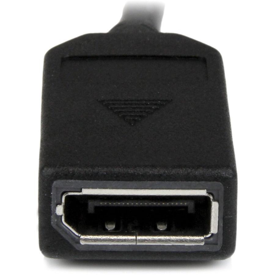 Startech.Com 8" (20 Cm) Dms-59 To Dual Displayport Adapter Cable - 4K X 2K Video - Lfh Dms 59 Pin