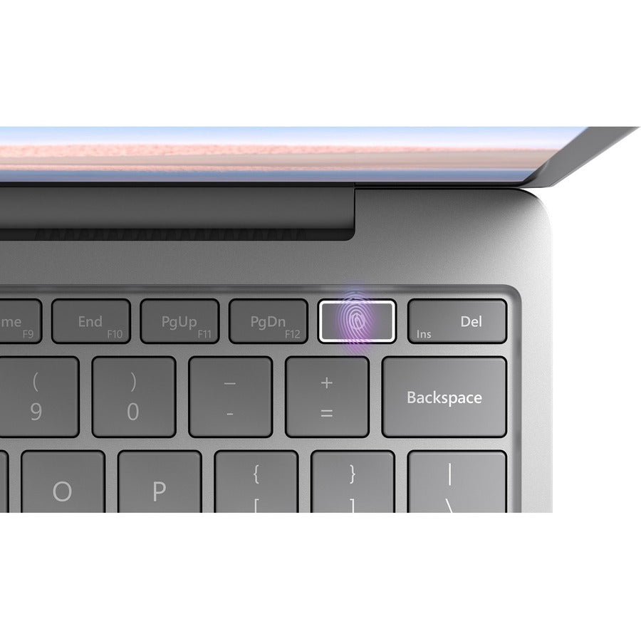 Surface Laptop Go I5/8/256 Edu,Platinum