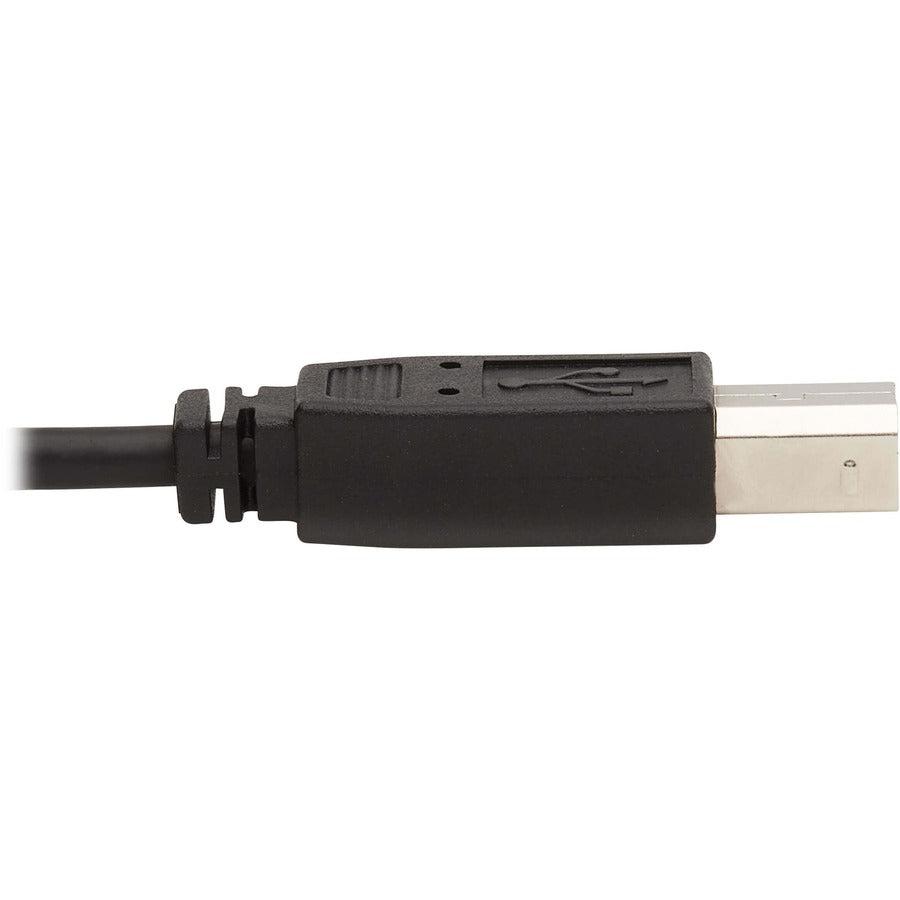 Tripp Lite Dvi Kvm Cable Kit - Dvi, Usb, 3.5 Mm Audio (3Xm/3Xm) + Usb (M/M), 1080P, 10 Ft. (3.05 M)