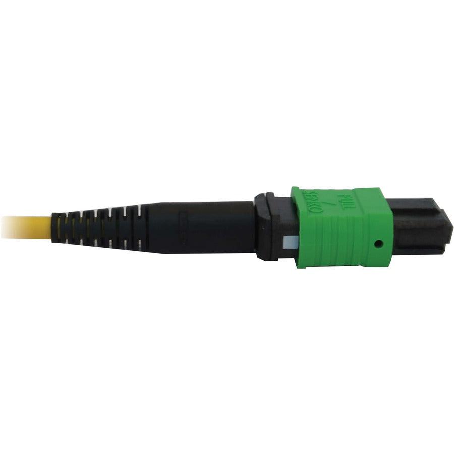 Tripp Lite N390X-01M-8L-Ap 400G Singlemode 9/125 Os2 Switchable Fiber Optic Cable (12F Mtp/Mpo-Apc