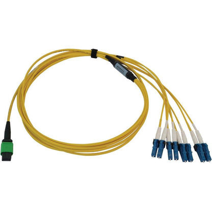 Tripp Lite N390X-02M-8L-Ap 400G Singlemode 9/125 Os2 Switchable Fiber Optic Cable (12F Mtp/Mpo-Apc