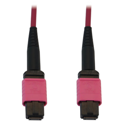 Tripp Lite N845B-01M-12-Mg 100G Multimode 50/125 Om4 Fiber Optic Cable (12F Mtp/Mpo-Pc F/F), Lszh, Magenta, 1 M (3.3 Ft.)