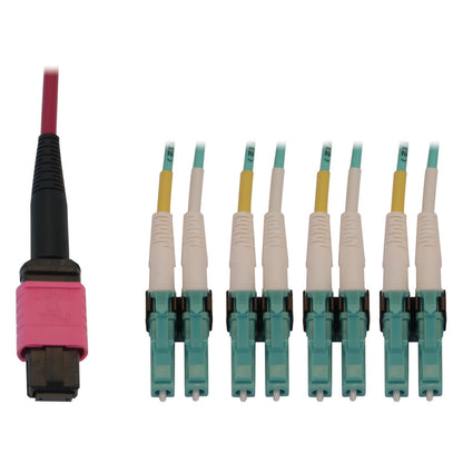 Tripp Lite N845X-02M-8L-Mg 40/100G Multimode 50/125 Om4 Fiber Optic Cable (12F Mtp/Mpo-Pc To 4X Duplex Lc/Pc F/M), Lszh, Magenta, 2 M (6.6 Ft.)