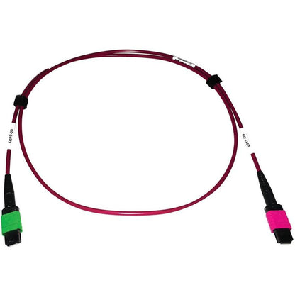 Tripp Lite N846D-01M-16Bmg 400G Multimode 50/125 Om4 Plenum Fiber Optic Cable, 16F Mtp/Mpo-Apc To Mtp/Mpo-Upc (F/F), Magenta, 1 M