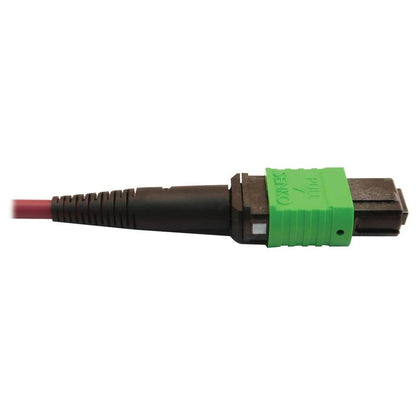 Tripp Lite N846D-01M-16Cmg 400G Multimode 50/125 Om4 Plenum Fiber Optic Cable, 16F Mtp/Mpo-Apc To 24F Mtp/Mpo-Upc (F/F), Magenta, 1 M