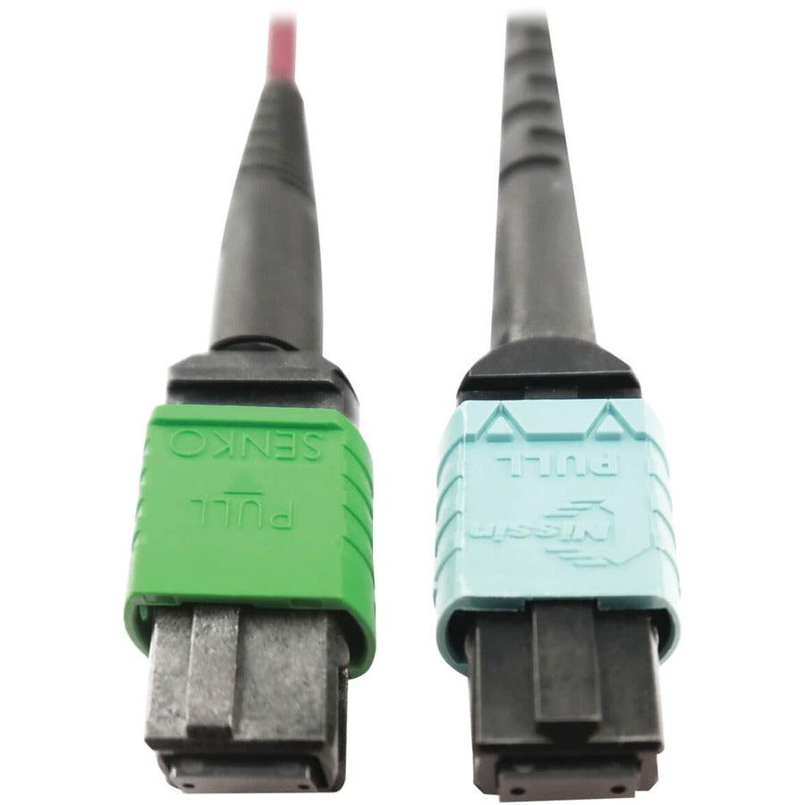 Tripp Lite N846D-01M-16Cmg 400G Multimode 50/125 Om4 Plenum Fiber Optic Cable, 16F Mtp/Mpo-Apc To 24F Mtp/Mpo-Upc (F/F), Magenta, 1 M