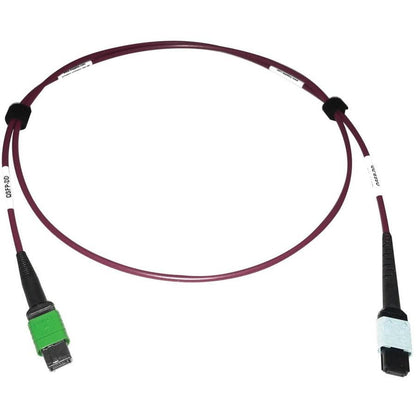 Tripp Lite N846D-01M-16Cmg 400G Multimode 50/125 Om4 Plenum Fiber Optic Cable, 16F Mtp/Mpo-Apc To 24F Mtp/Mpo-Upc (F/F), Magenta, 1 M