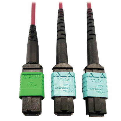 Tripp Lite N846D-01M-16Dmg 400G Multimode 50/125 Om4 Plenum Fiber Optic Cable, 16F Mtp/Mpo-Apc To (X2) 12F Mtp/Mpo-Upc (F/F), Magenta, 1 M