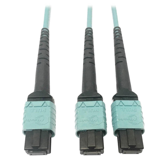 Tripp Lite N846D-01M-24Baq 400G Multimode 50/125 Om4 Plenum Fiber Optic Cable, 24F Mtp/Mpo-Pc To (X2) 12F Mtp/Mpo-Pc (F/F), Aqua, 1 M