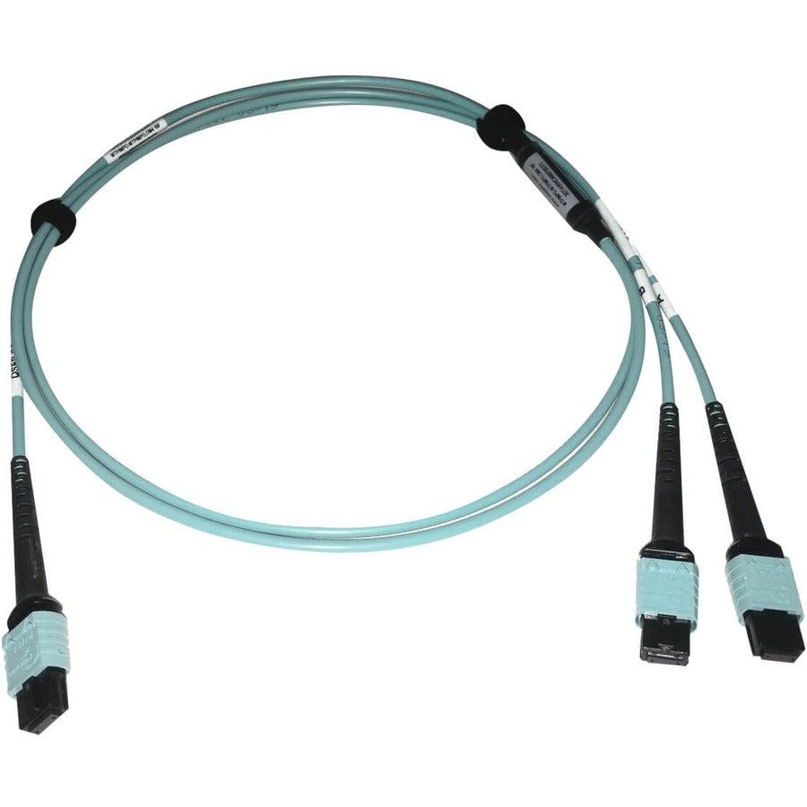 Tripp Lite N846D-01M-24Baq 400G Multimode 50/125 Om4 Plenum Fiber Optic Cable, 24F Mtp/Mpo-Pc To (X2) 12F Mtp/Mpo-Pc (F/F), Aqua, 1 M