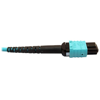 Tripp Lite N846D-01M-24Daq 400G Multimode 50/125 Om4 Plenum Fiber Optic Cable, 24F Mtp/Mpo-Upc To 16F Mtp/Mpo-Upc (F/F), Aqua, 1 M