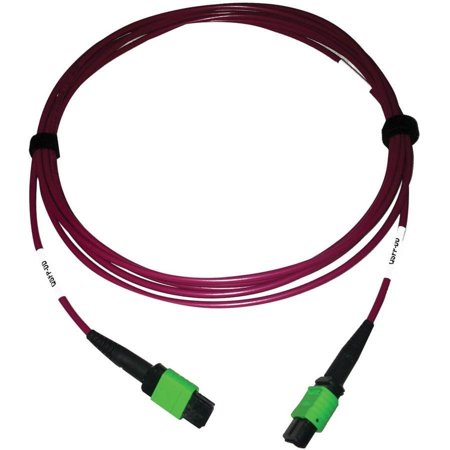 Tripp Lite N846D-03M-16Amg 400G Multimode 50/125 Om4 Plenum-Rated Fiber Optic Cable, 16F Mtp/Mpo-Apc (F/F), Magenta, 3 M