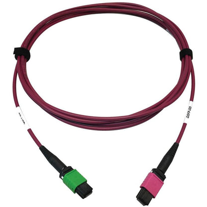 Tripp Lite N846D-03M-16Bmg 400G Multimode 50/125 Om4 Plenum Fiber Optic Cable, 16F Mtp/Mpo-Apc To Mtp/Mpo-Upc (F/F), Magenta, 3 M