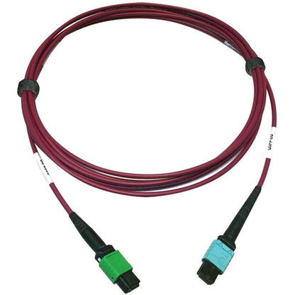 Tripp Lite N846D-03M-16Cmg 400G Multimode 50/125 Om4 Plenum Fiber Optic Cable, 16F Mtp/Mpo-Apc To 24F Mtp/Mpo-Upc (F/F), Magenta, 3 M