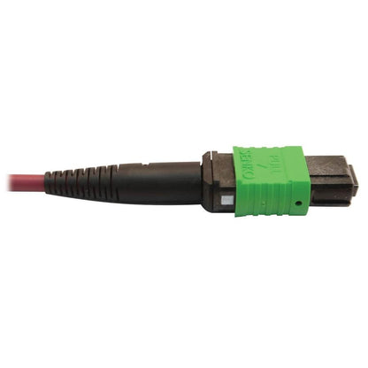 Tripp Lite N846D-03M-16Dmg 400G Multimode 50/125 Om4 Plenum Fiber Optic Cable, 16F Mtp/Mpo-Apc To (X2) 12F Mtp/Mpo-Upc (F/F), Magenta, 3 M