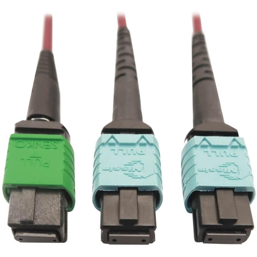 Tripp Lite N846D-03M-16Dmg 400G Multimode 50/125 Om4 Plenum Fiber Optic Cable, 16F Mtp/Mpo-Apc To (X2) 12F Mtp/Mpo-Upc (F/F), Magenta, 3 M