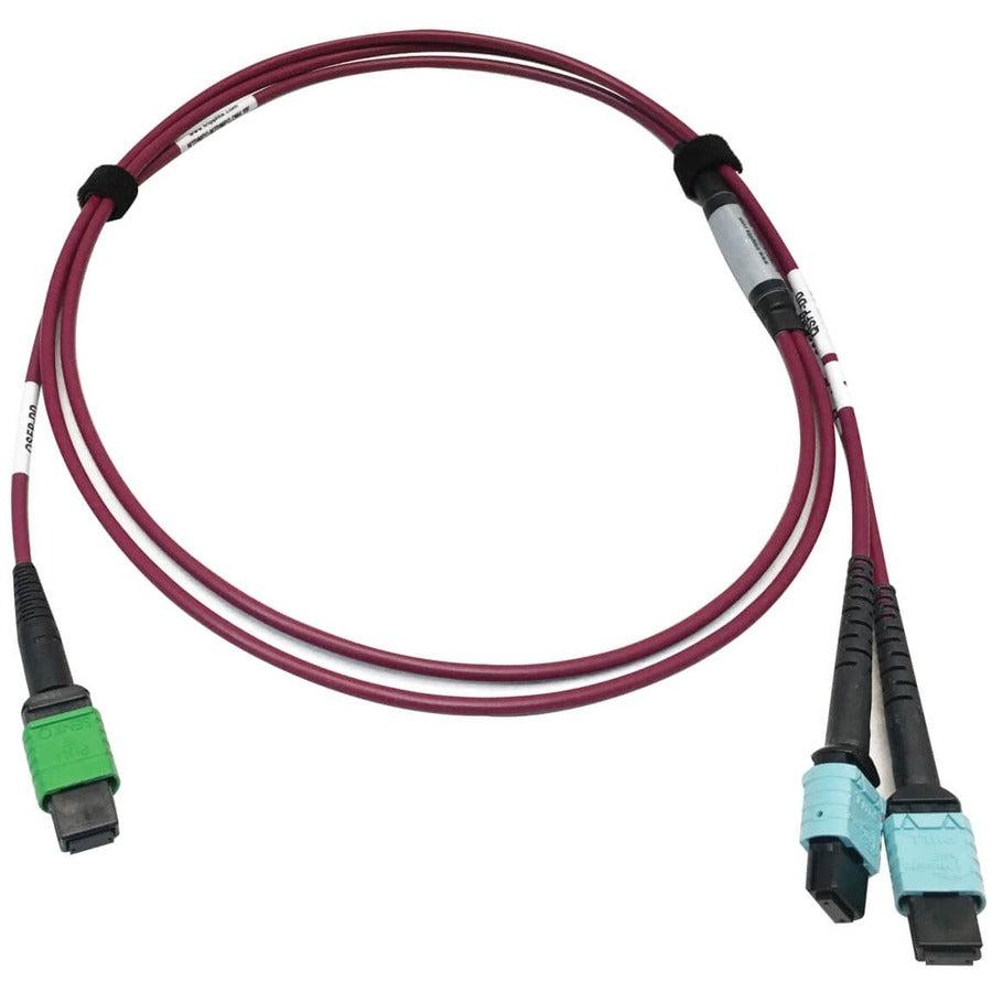 Tripp Lite N846D-03M-16Dmg 400G Multimode 50/125 Om4 Plenum Fiber Optic Cable, 16F Mtp/Mpo-Apc To (X2) 12F Mtp/Mpo-Upc (F/F), Magenta, 3 M